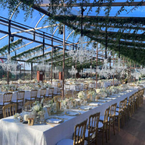 MICH_michelangelo_greenhouse_tuscany_setup_4