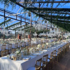 michelangelo_greenhouse_tuscany_setup_4